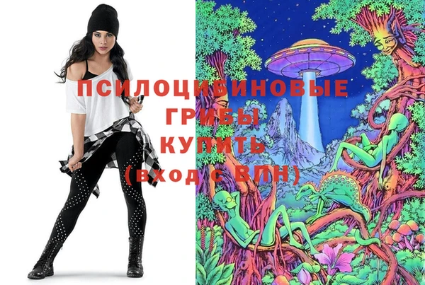 шишки Алзамай
