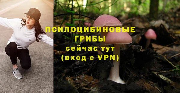 первитин Алексин