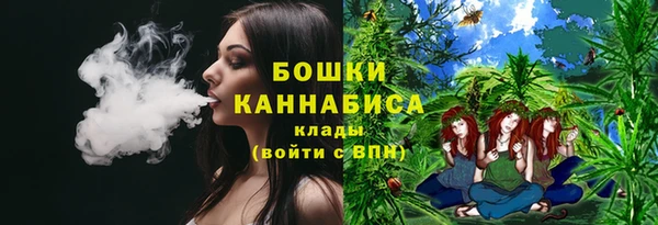 шишки Алзамай