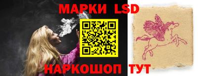 a pvp Гатчина