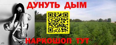 a pvp Гатчина
