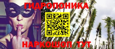 a pvp Гатчина