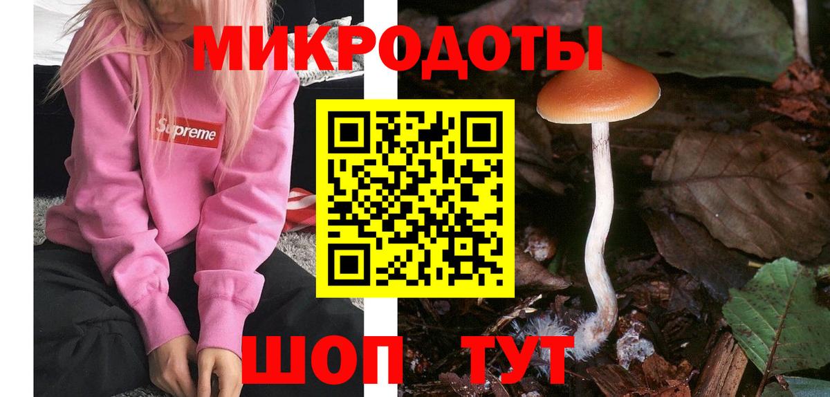 Карпинск  Псилоцибиновые грибы Psilocybine cubensis  Вход с VPN 