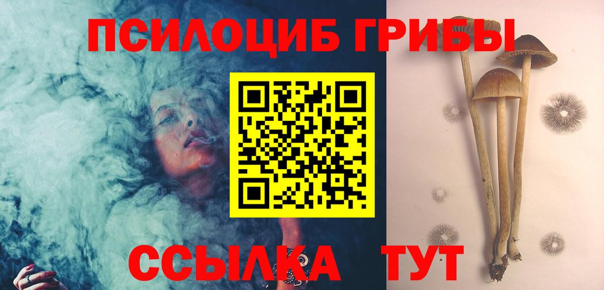 Галлюциногенные грибы GOLDEN TEACHER Карпинск